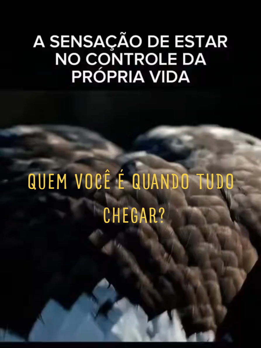 Post 1